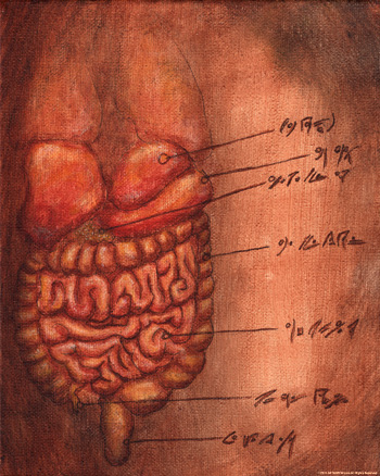 Anatomy 101 - Plate 67
